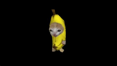 banana cat gif|banana cat png.